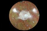 Fossil Goniatite Bowl - Stoneware #73761-2